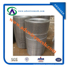 High Quality 1X1 Inch Galvanized Square Welded Wire Mesh (ADS-SW-07)